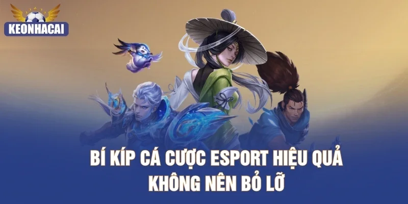 Bí kíp cá cược Esport hiệu quả không nên bỏ lỡ