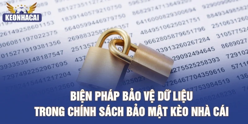Biện pháp bảo vệ dữ liệu trong chính sách bảo mật Keonhacai