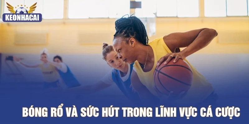 Bóng rổ và sức hút trong lĩnh vực cá cược