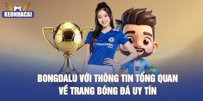 Bongdalu với thông tin tổng quan về trang bóng đá uy tín