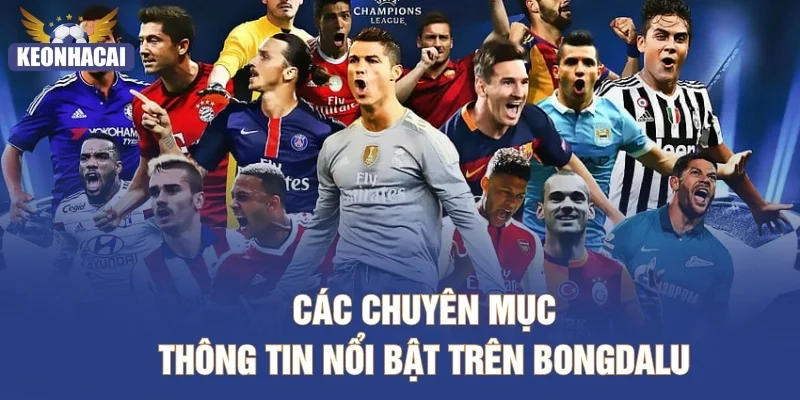 Các chuyên mục thông tin nổi bật trên Bongdalu