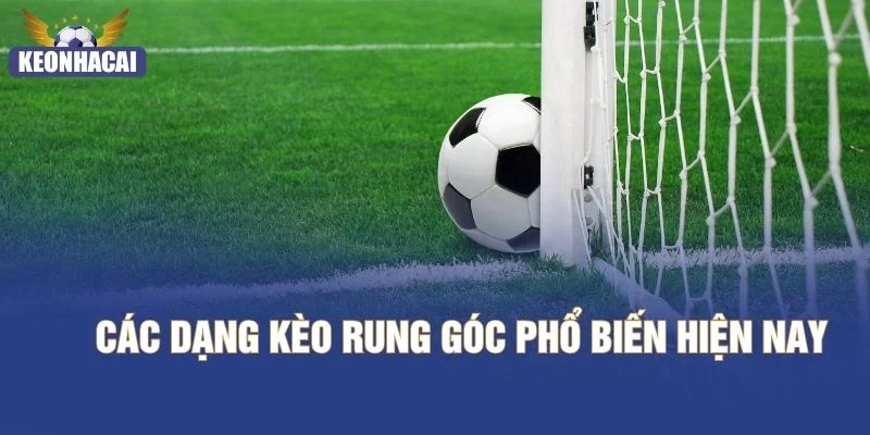Các dạng kèo rung góc phổ biến hiện nay