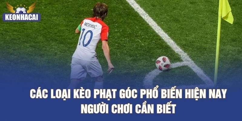 Các loại kèo phạt góc phổ biến hiện nay người chơi cần biết