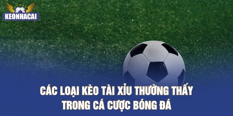 Các loại kèo Tài Xỉu thường thấy trong cá cược bóng đá