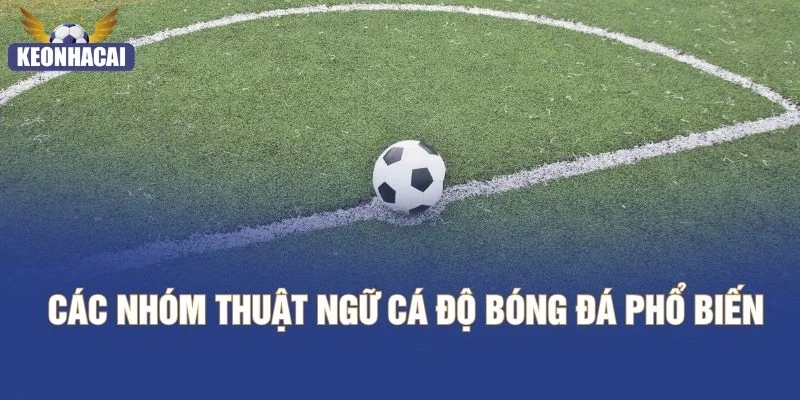 Các nhóm thuật ngữ cá độ bóng đá phổ biến