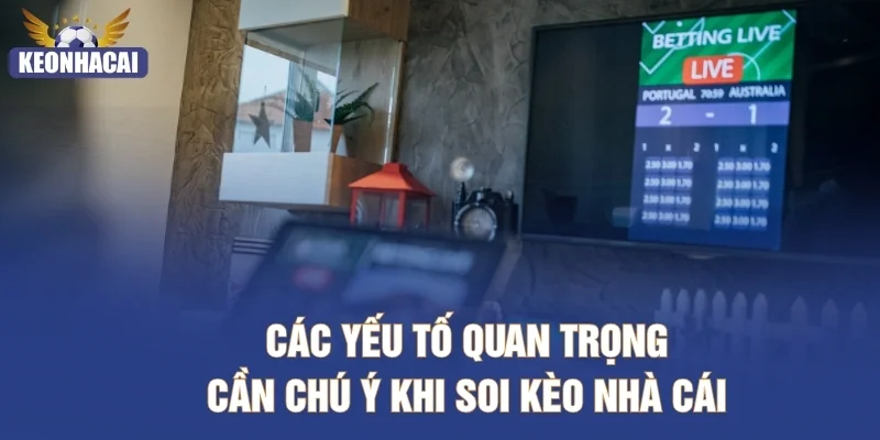 Các yếu tố quan trọng cần chú ý khi soi kèo nhà cái