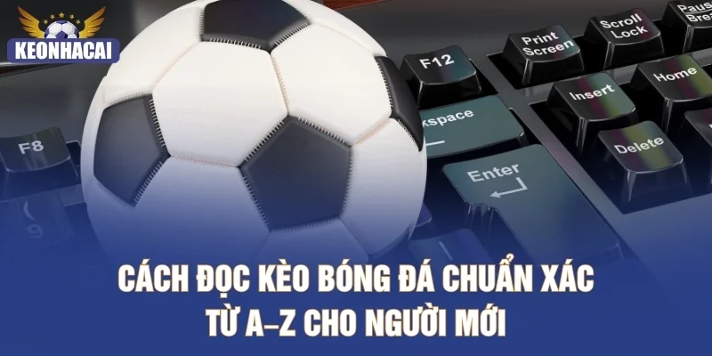 Cách Đọc Kèo Bóng Đá Chuẩn Xác Từ A–Z Cho Người Mới