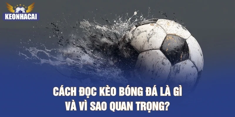 Cách đọc kèo bóng đá là gì và vì sao quan trọng?