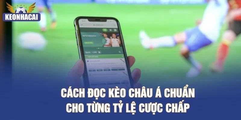 Cách đọc kèo châu Á chuẩn cho từng tỷ lệ cược chấp