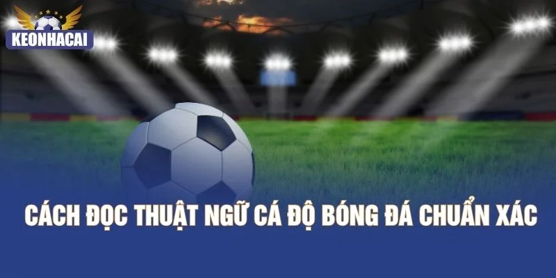 Cách đọc thuật ngữ cá độ bóng đá chuẩn xác