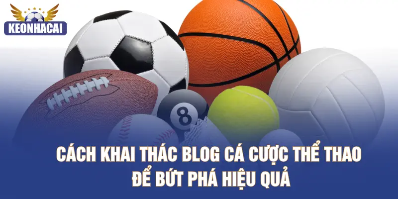 Cách khai thác blog cá cược thể thao để bứt phá hiệu quả