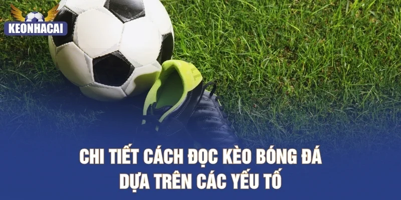 Chi tiết cách đọc kèo bóng đá dựa trên các yếu tố