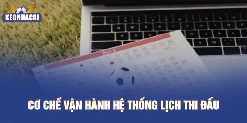 Cơ chế vận hành hệ thống lịch thi đấu