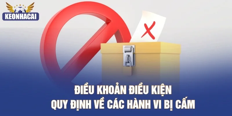 Điều khoản điều kiện quy định về các hành vi bị cấm