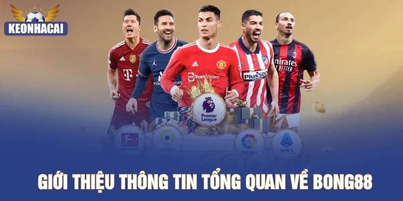 Giới thiệu thông tin tổng quan về Bong88