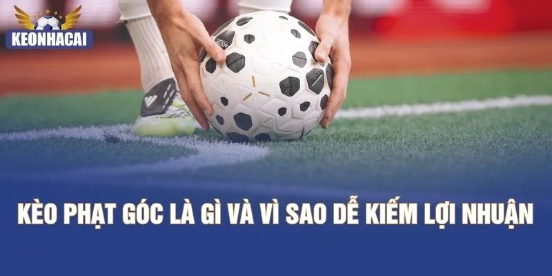 Kèo phạt góc là gì và vì sao dễ kiếm lợi nhuận