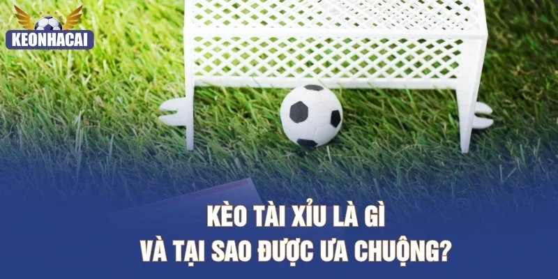 Kèo Tài Xỉu là gì và tại sao được ưa chuộng?