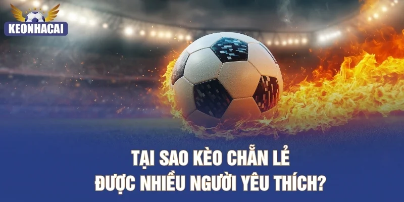 Tại sao kèo chẵn lẻ được nhiều người yêu thích?