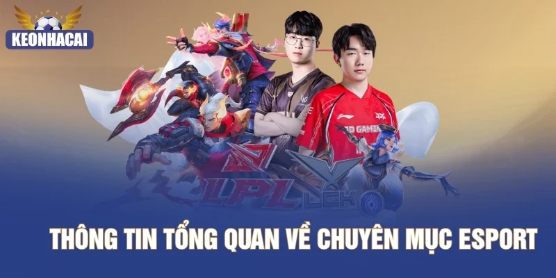 Thông tin tổng quan về chuyên mục Esport