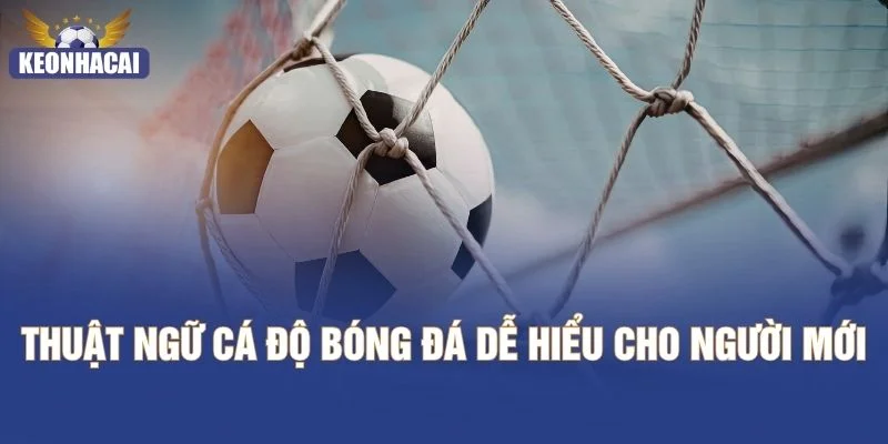 Thuật Ngữ Cá Độ Bóng Đá Dễ Hiểu Cho Người Mới