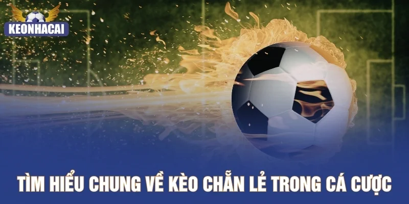 Tìm hiểu chung về kèo chẵn lẻ trong cá cược