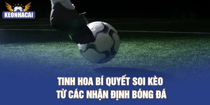 Tinh hoa bí quyết soi kèo từ các nhận định bóng đá